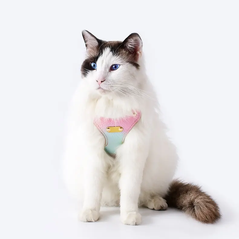 Colorful Leather Cat Strap Pulling Rope
