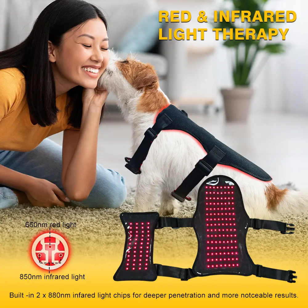 Pet Red Light Therapy Belt