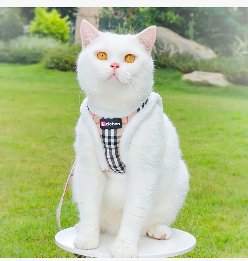 Cat Pulling Rope Anti Breaking Loose For Outdoor Use