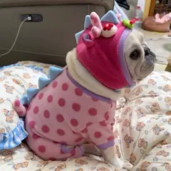 Pet Clothing Winter Pet Clothing Winter Coat - Without Hat - View 1