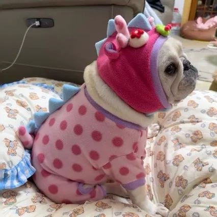 Pet Clothing Winter Pet Clothing Winter Coat Without Hat - Shop at LoveMi
