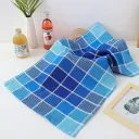 Blue Plaid