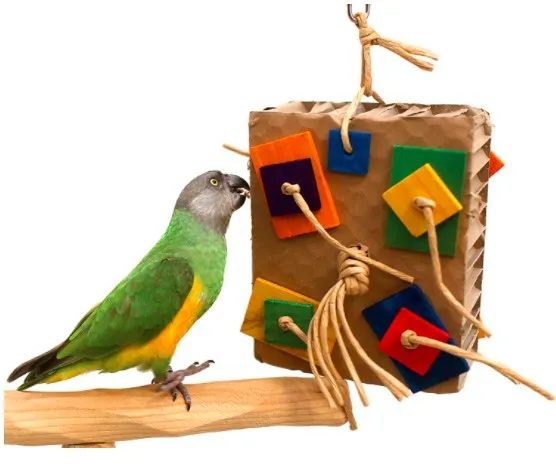 Parrot Colored Building Block Nibbling Toy Small Size 15X20X6Cm - Shop at LoveMi