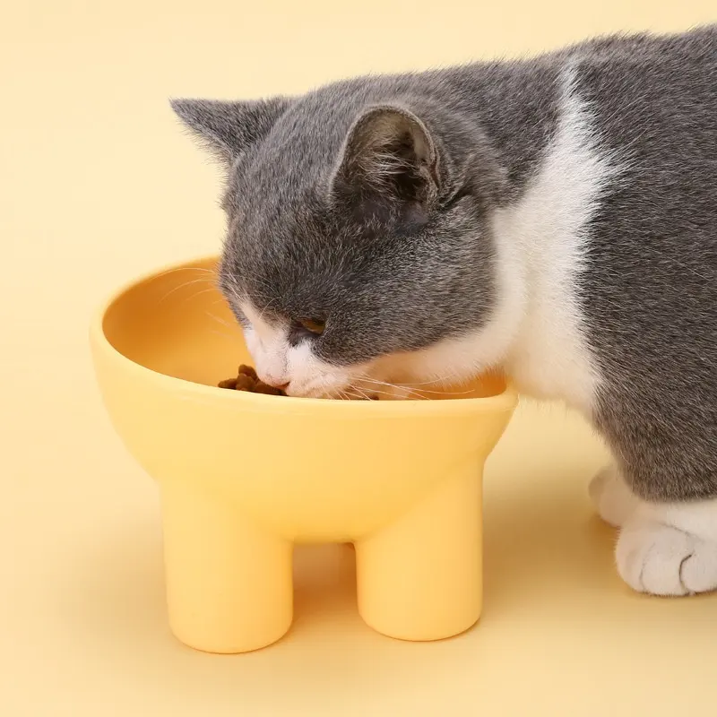 Pet Bowl Cute Cat Basin Double