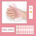 Bsg 0093