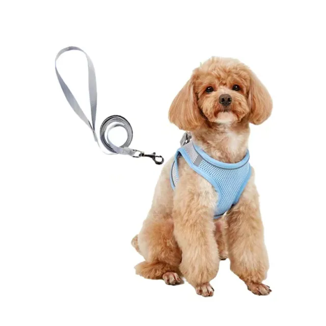 Dog Hand Holding Rope Vest Small Dog Dog Leash Teddy Bichon Breathable Chest Strap Pomeranian Puppy Small Dog Leash Style5 - Shop at LoveMi