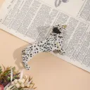 Spotted Dog