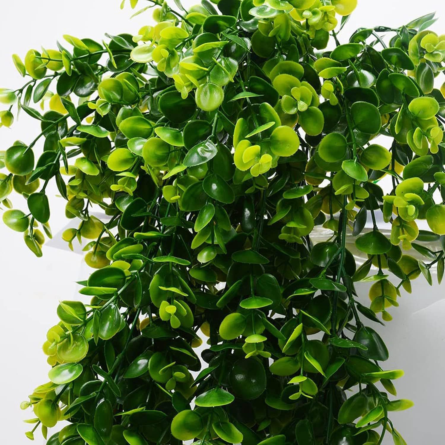 Title 4, Eucalyptus Wall Hanging Simulation Green Plant ...