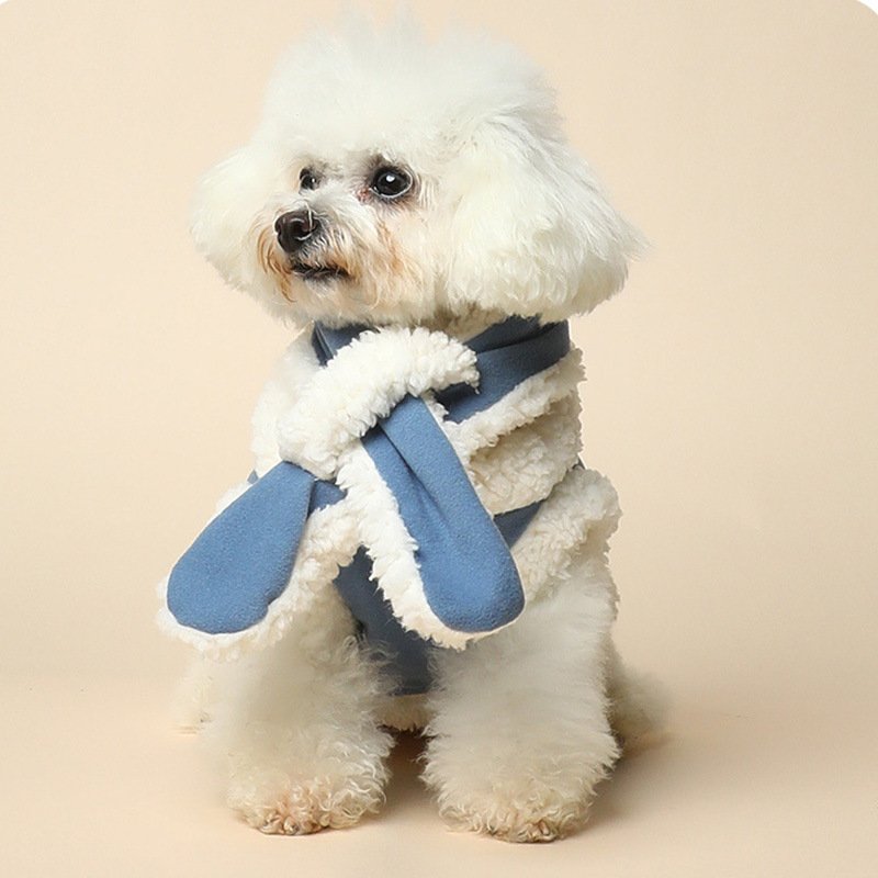 Blue Vest Scarf