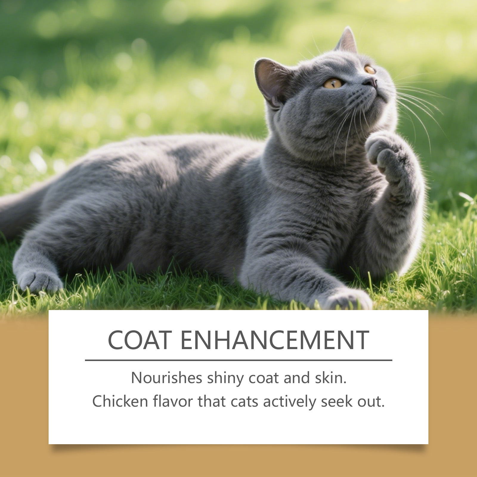 Probiotic Soft Pellets For Cats