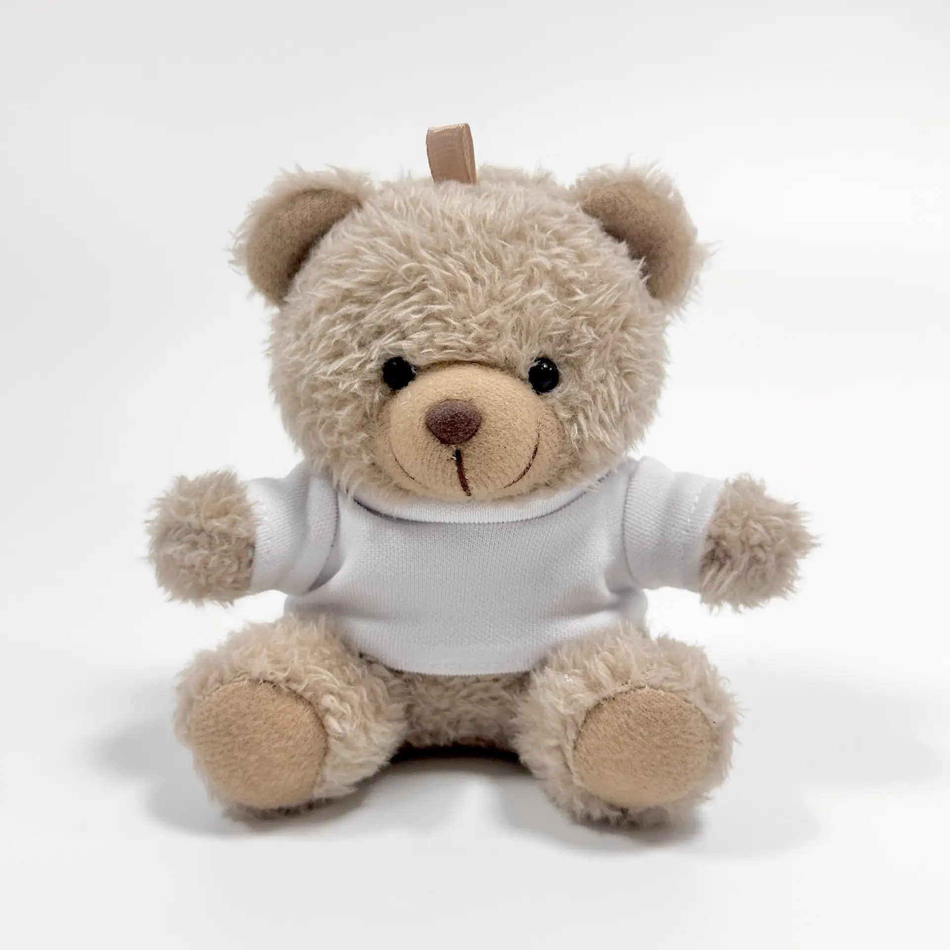 Teddy Bear Plush Pendant Plush Toy