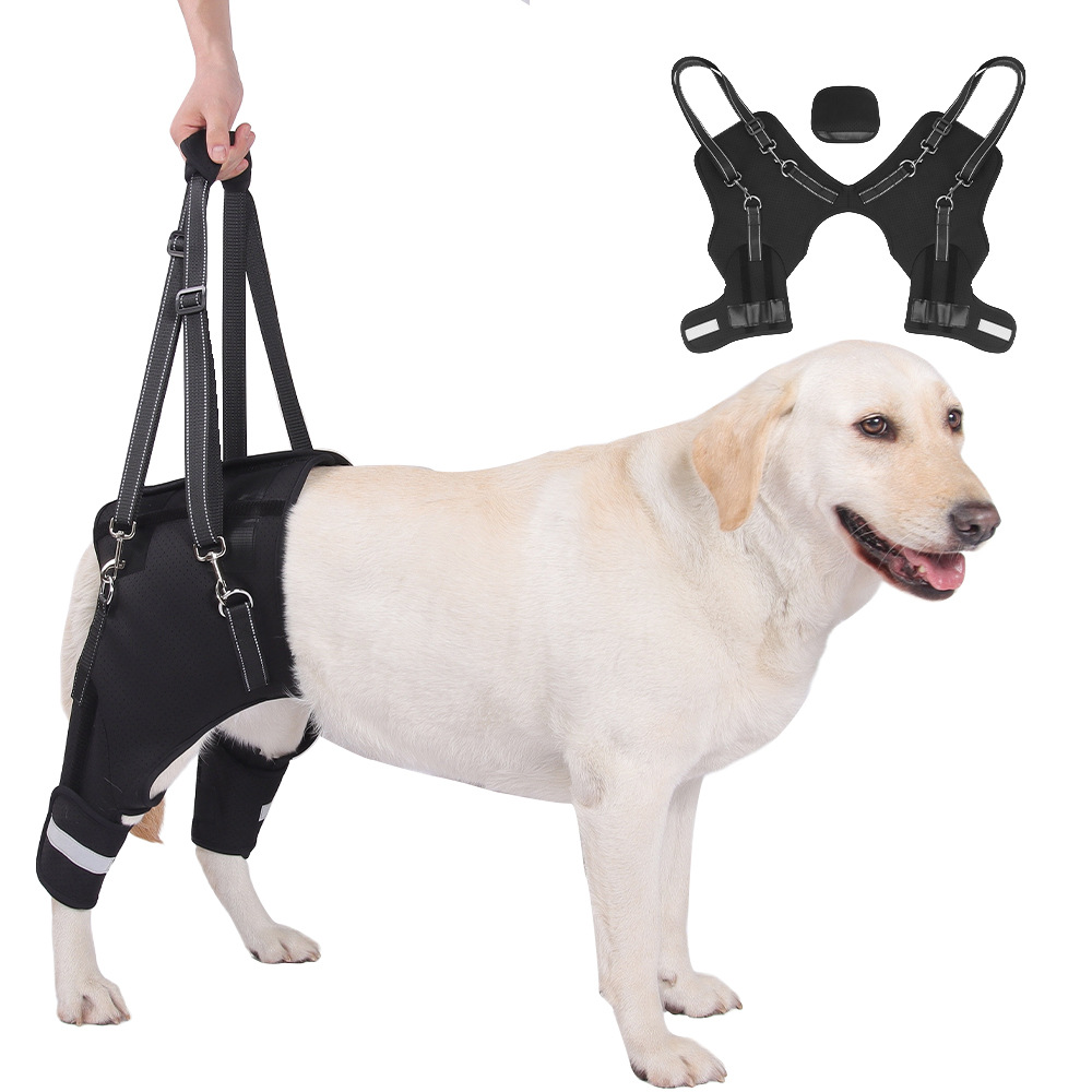 Dog Rear-leg Assist Harness For Senior And Disabled Dogs Aiding In Rehabilitation Black S