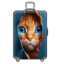 Hole Orange Tabby Cat