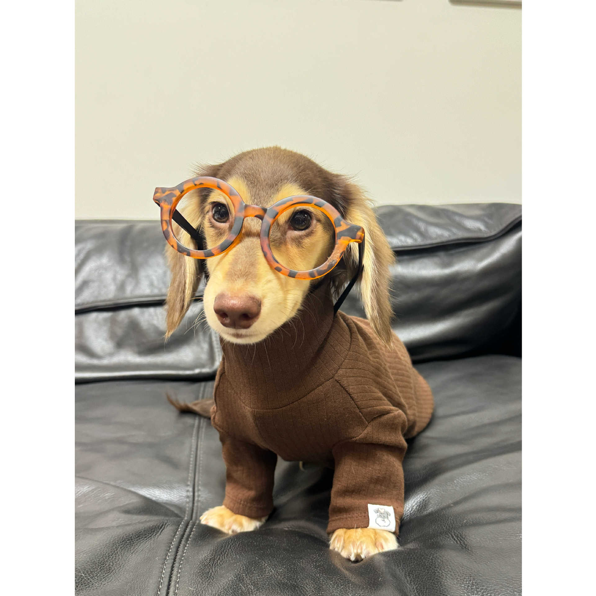 Pet Clothing Autumnwinter High-neck Base Vest