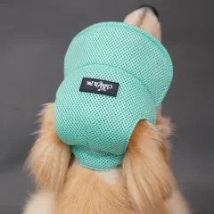 Ear Leakage Breathable Golden Retriever Dog Hat Summer Shading - Green - View 1