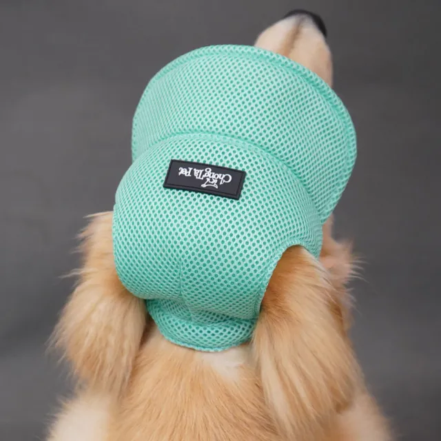 Ear Leakage Breathable Golden Retriever Dog Hat Summer Shading Green - Shop at LoveMi
