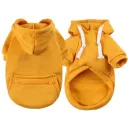Ginger Yellow