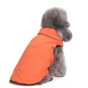 Dz153 Orange