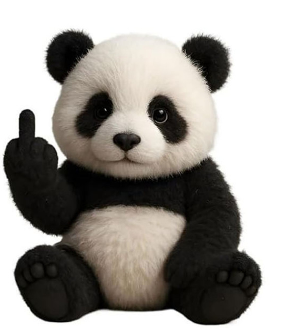 Koala Plush Toy Mid-size Cute Koala Doll