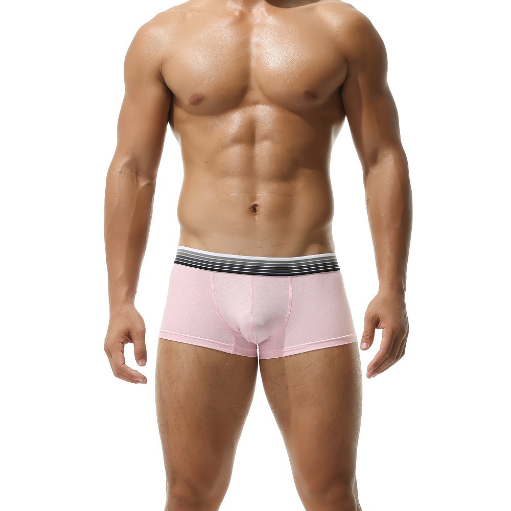 Gradient Stripes Belt Low Waist Cotton Thin Boxer Briefs