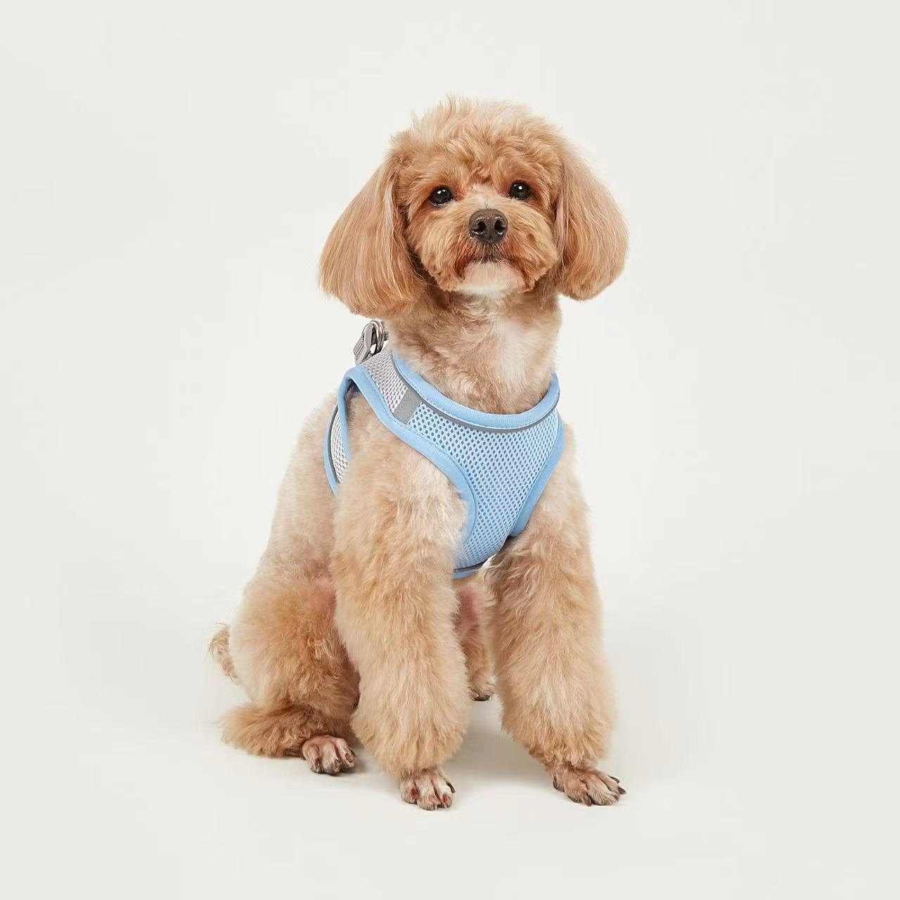 Title 5, Dog Hand Holding Rope Vest Small Dog Dog Leash ...