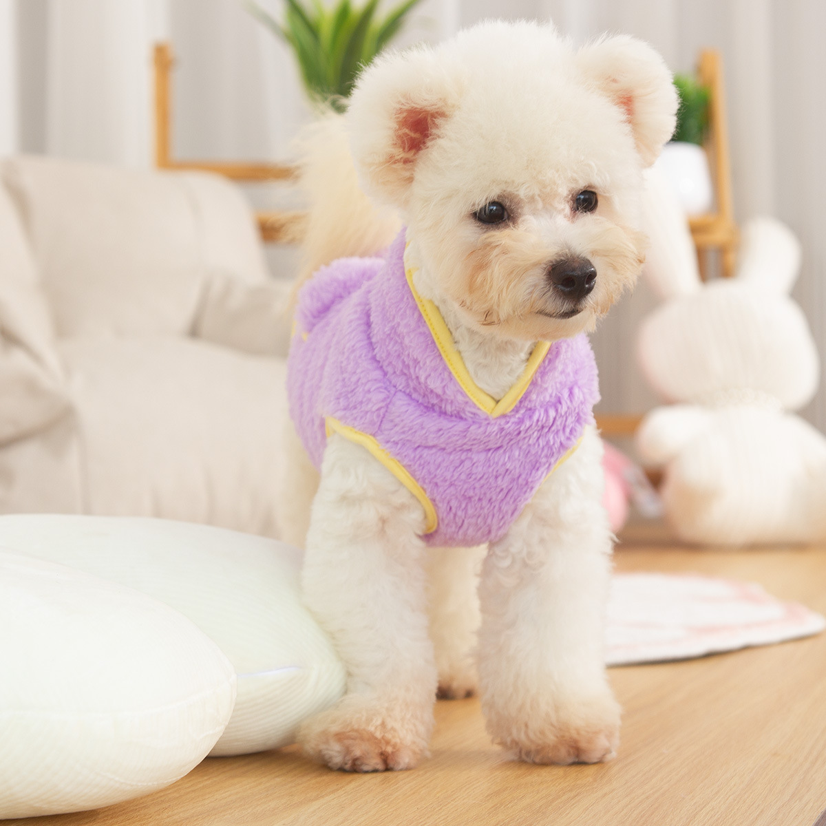 Autumn And Winter Double-sided Plush Dog Clothes