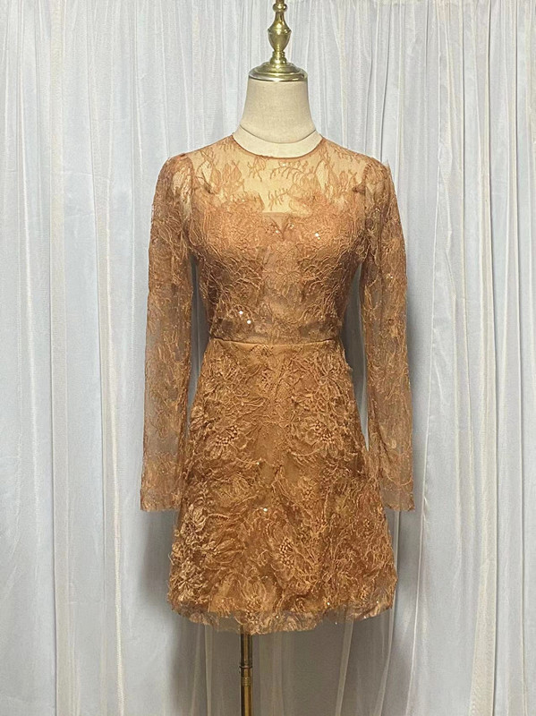 Lace Dress Long Sleeve Three-dimensional Petals Brown See-through Short Skirt