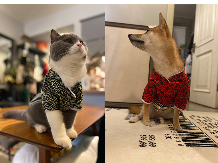 Title 6, Japon Kimono Köpek Savaşçı Kostümü. Köpeğinizi ...