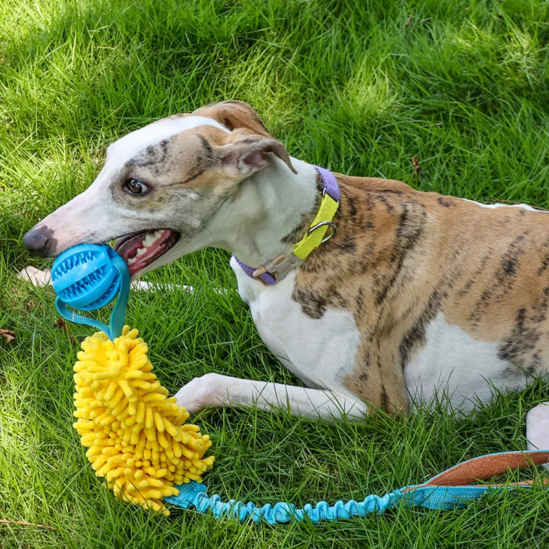 Cord Teether Bends And Hitches Bite-resistant Tug-of-war