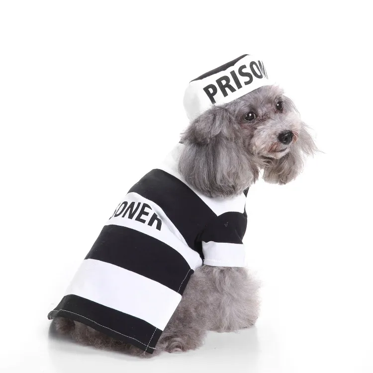 Old Man Wanchristmas Pet Knitted Sweater - Sdz12 Prisoner Suit