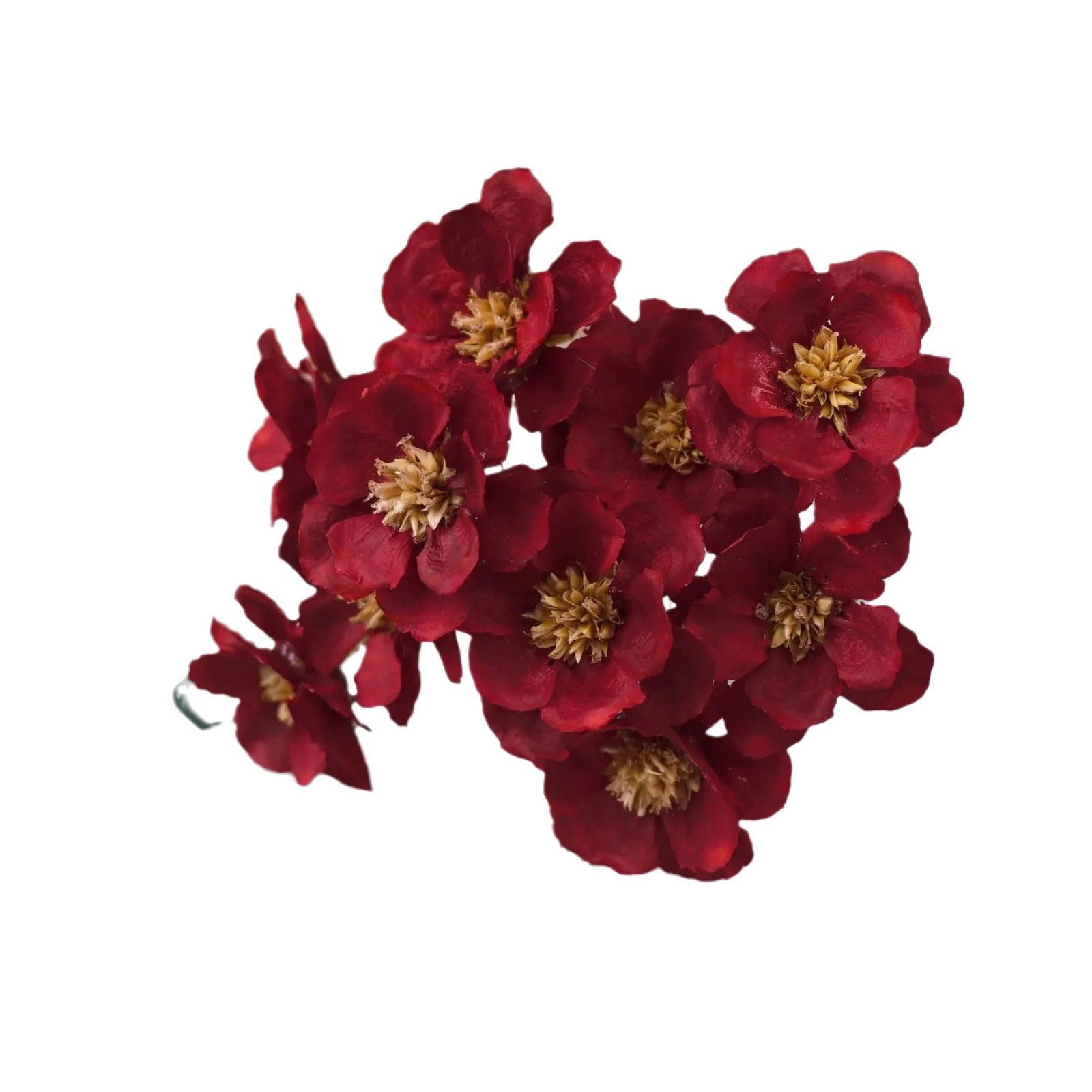 https://cf.cjdropshipping.com/quick/product/d49f6e5c-f7ae-4785-9d8c-45107dcdd049.jpg