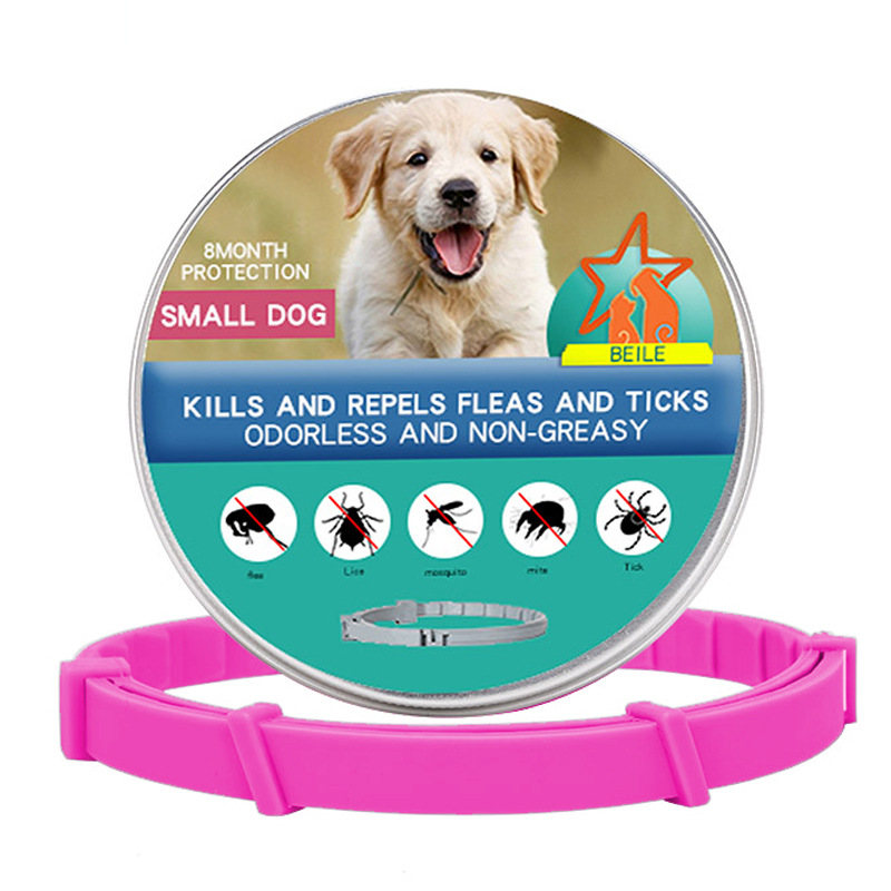 Small Dog Short Box Pink