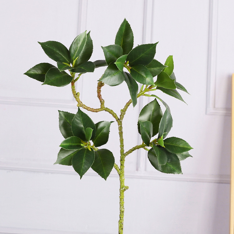 Flat Camellia Leaves