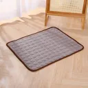 Brown Ice Silk Mat