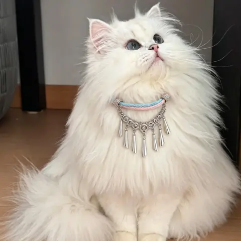 Woven Tassel Pendant Vintage Pet Collar