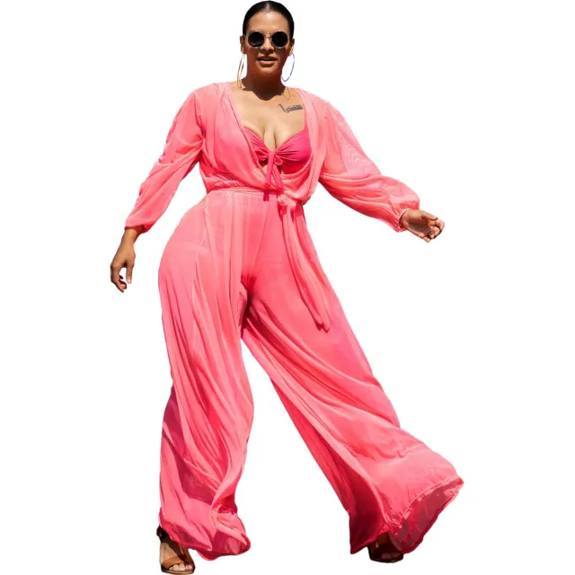 Sexy See through Mesh Plus Size Women's Jumpsuit Without Inner Wear Pink - Shop at LoveMi