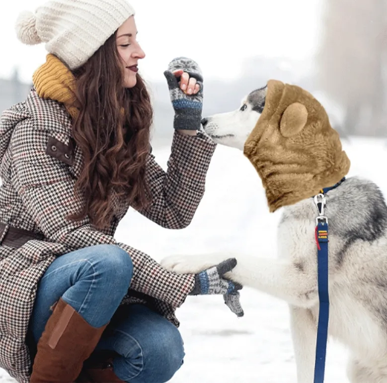 Adjustable Cute Pet Hat