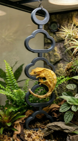 3D-printed Cross-border Novelty Pet Toy Cute Gecko Climbing Ladder Ornament detail photo 6