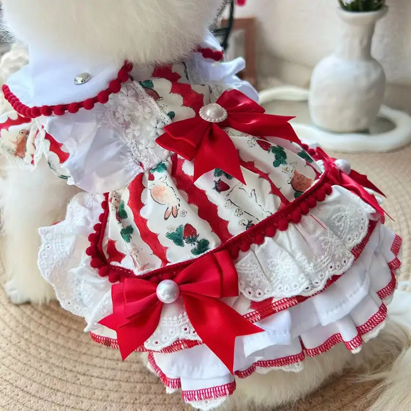 Pet Dog Clothes Clothes Are Better Than Xiong Bo