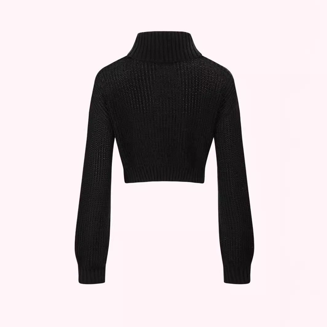 Butterfly Embroidery Short Long Sleeve Casual Sweater