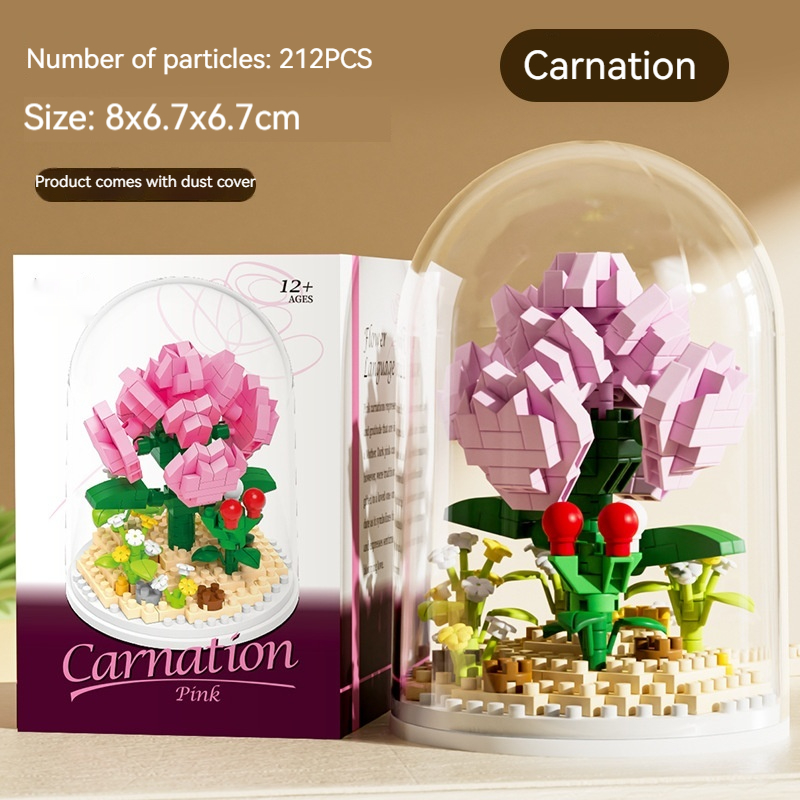 Carnation