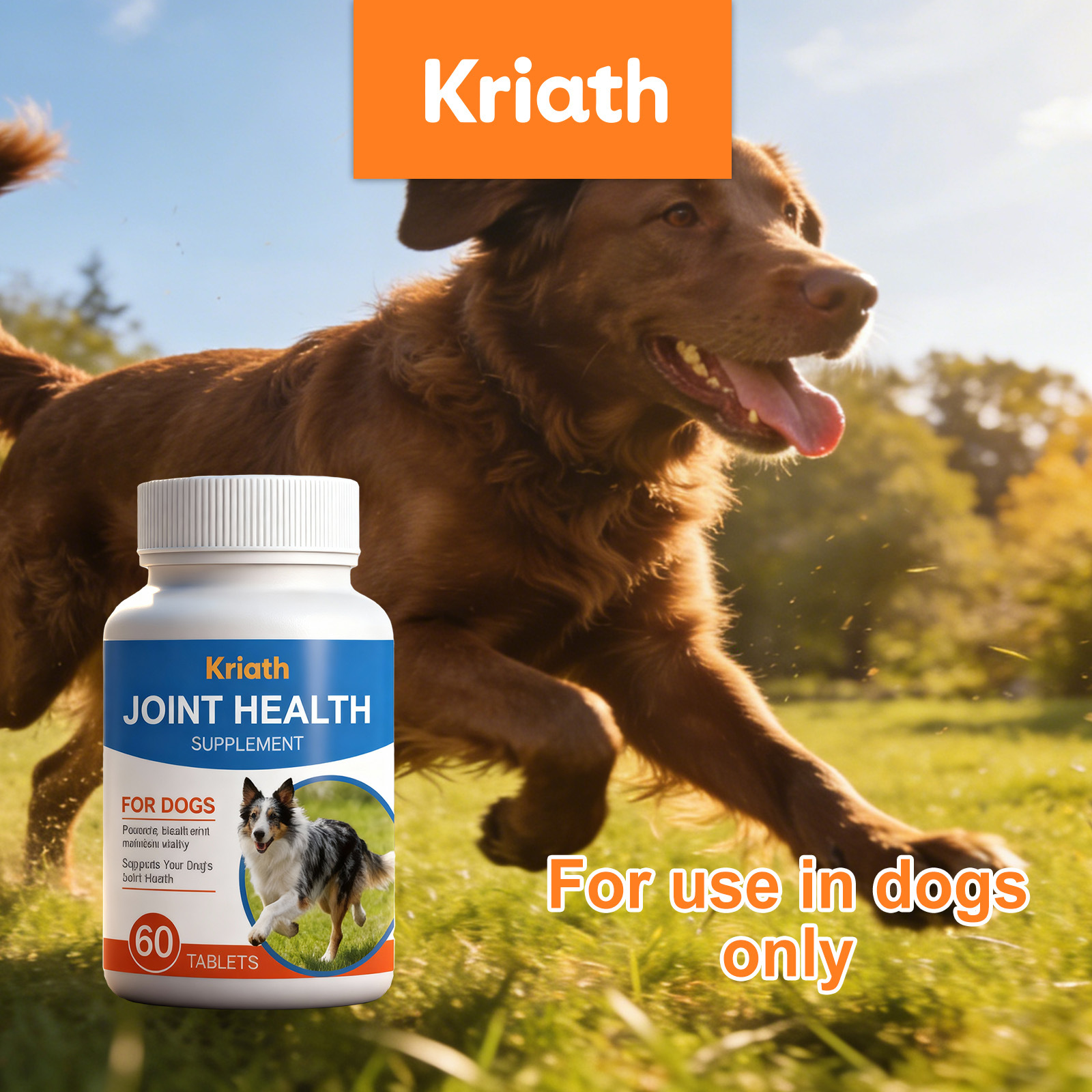 Joint Health Chewable Tablets For Dogs