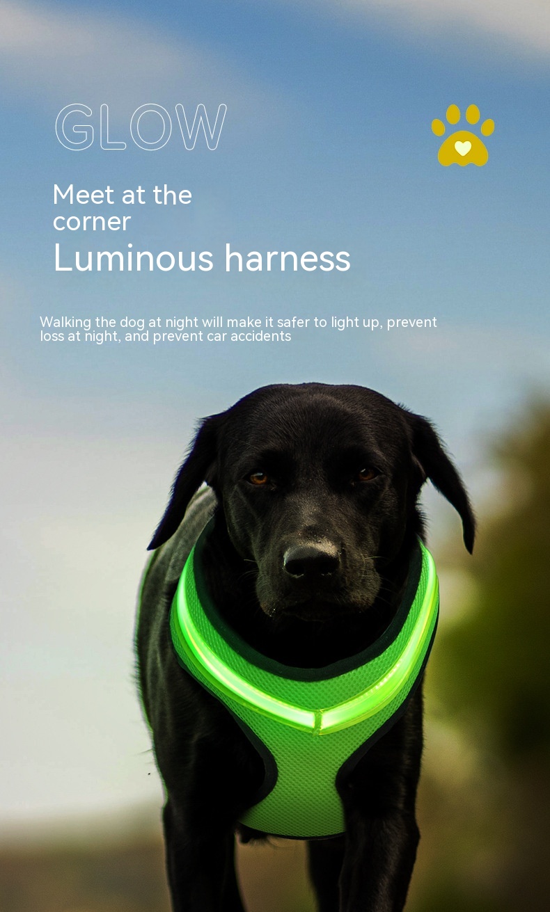 LED Dog Safety Harness thumbnail 3