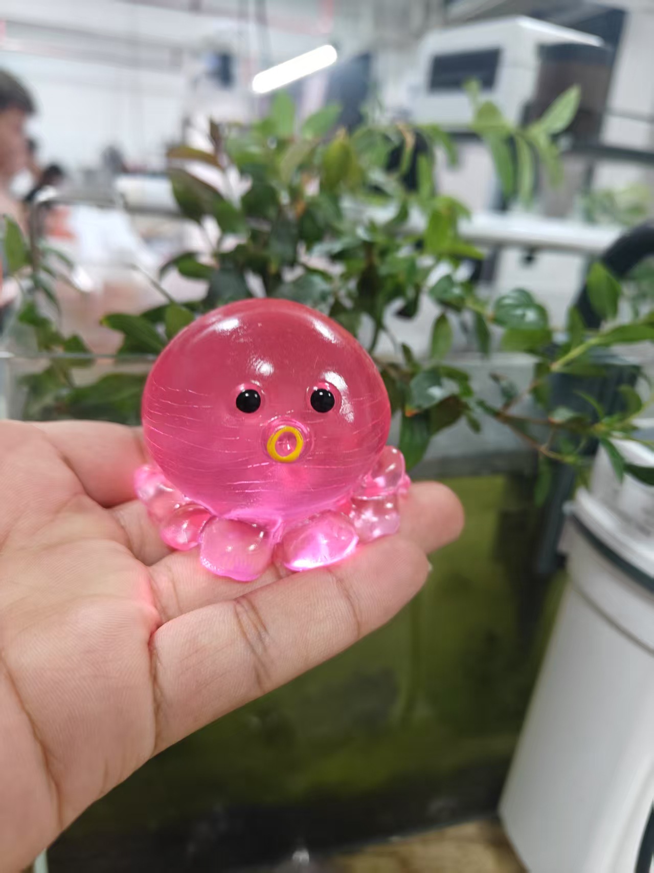 https://cf.cjdropshipping.com/quick/product/d8946211-bab4-41d0-b924-b4cb73257c42.jpg