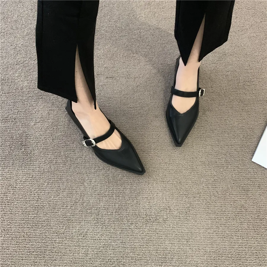 Chunky Heel Ankle-strap Buckle Mary Jane Shoes Female Low Heel Shoes - Black