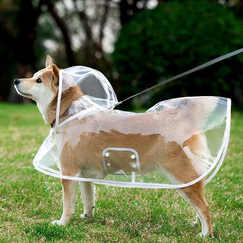 Small Pet Double Sticky Fly Bowl