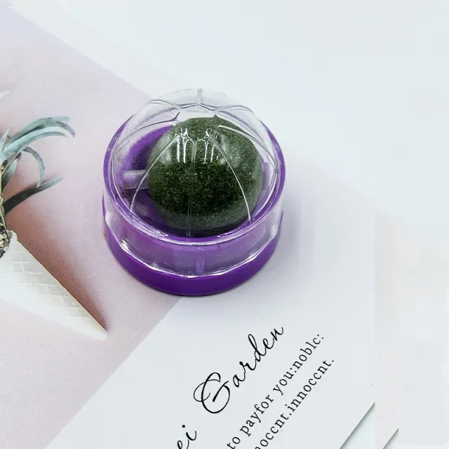 Mu Tianmiao Cat Teasing Ball Cat Molar Rod Cat Self Hi Relieving Stuffy Purple - Shop at LoveMi