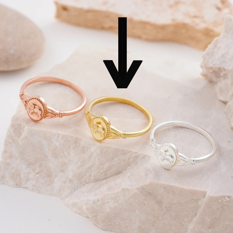Elephant Seal Shape Ring Fashion Women