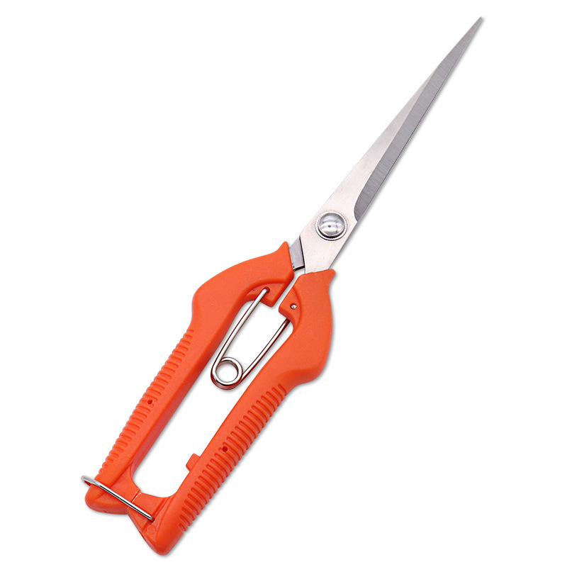 https://cf.cjdropshipping.com/quick/product/d9600b39-e6de-4f95-93b3-9dc712c16636.jpg