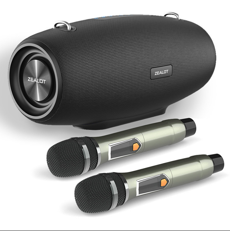 Black Dual Microphone